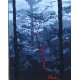 l'arbre rouge acrylique 35x27-A